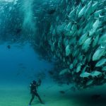 澳大利亚品质旅游，几月去澳大利亚旅游合适