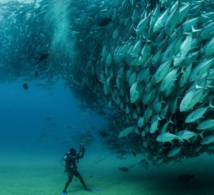 澳大利亚品质旅游，几月去澳大利亚旅游合适